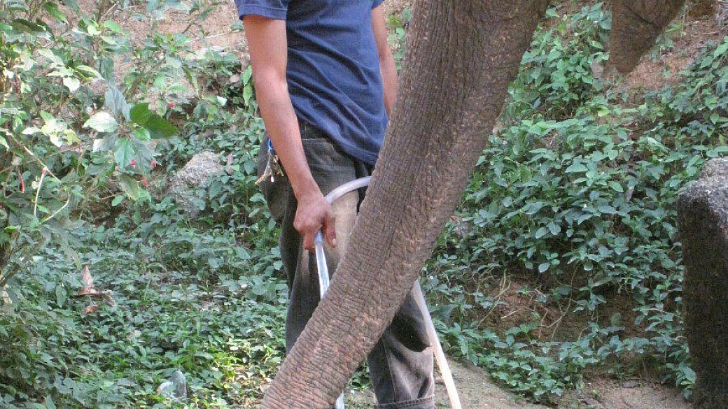 thailandia: istruzioni per l'uso