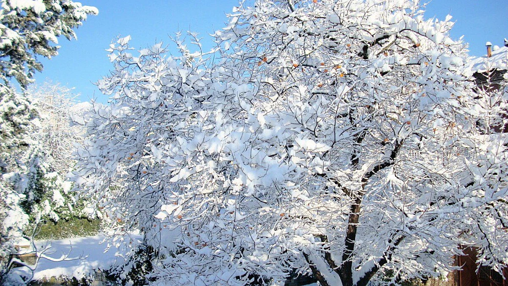 capo sferracavallo ogliastra sardegna: che isola!