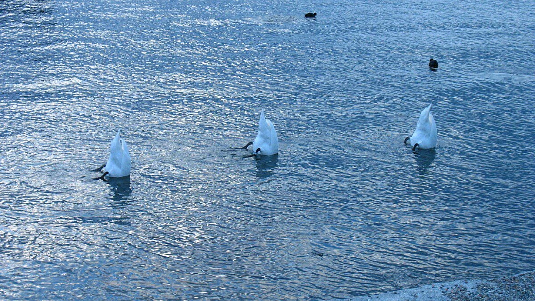 stoccolma i love you