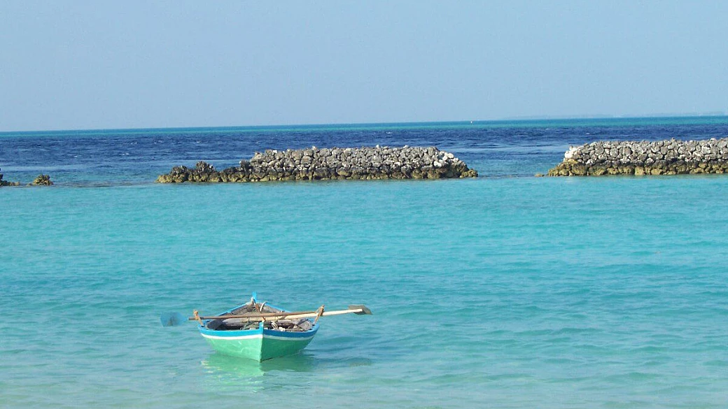 paradiso multicolore