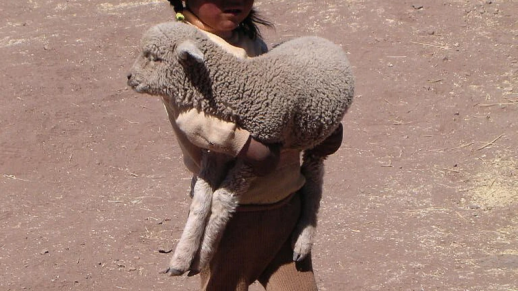 l'altra faccia del mondo