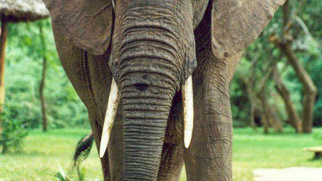 ritorno al mio paradiso!