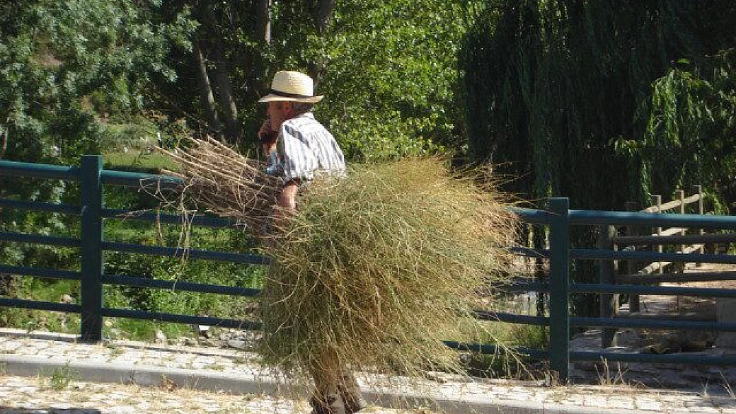 portogallo, che scoperta