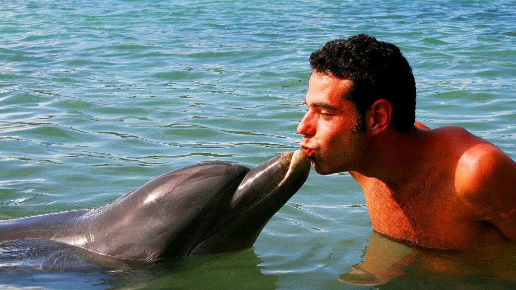 bravo club henry morgan di roatan