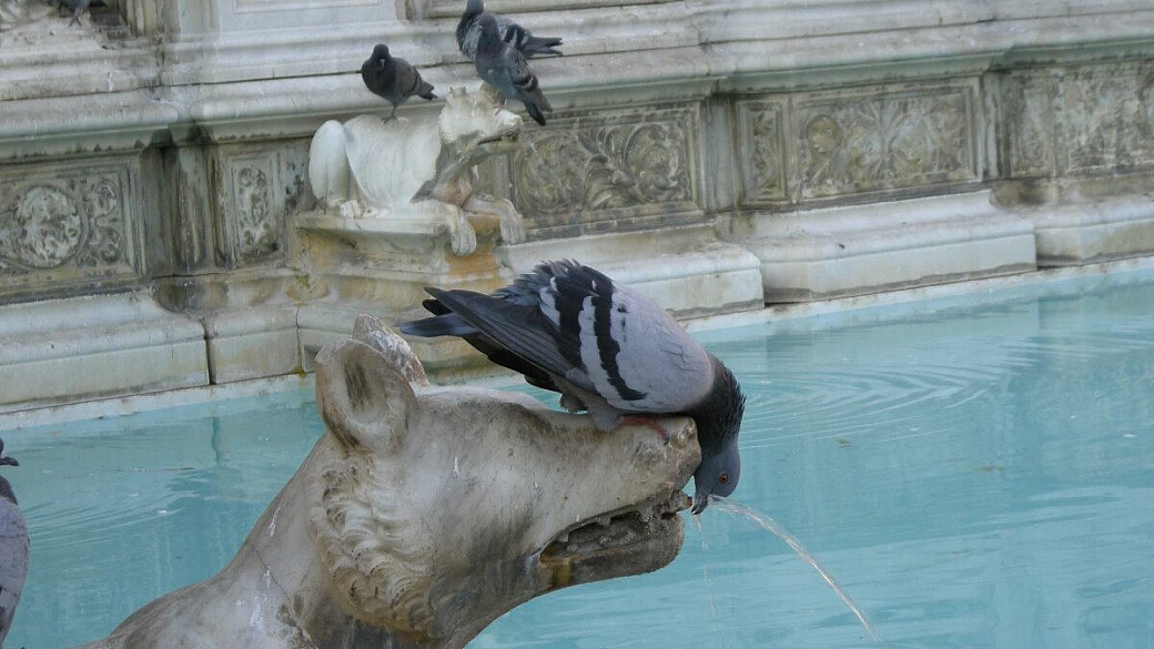 perugia, lago trasimeno e città della pieve