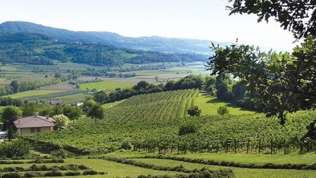 qualità, storia, gusto e accoglienza, alla scoperta di distilleria f.lli brunello