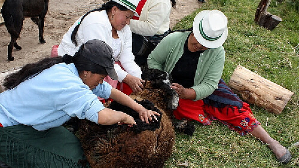 que ecuador: ultime pagine del diario di nicoletta, verso mancora