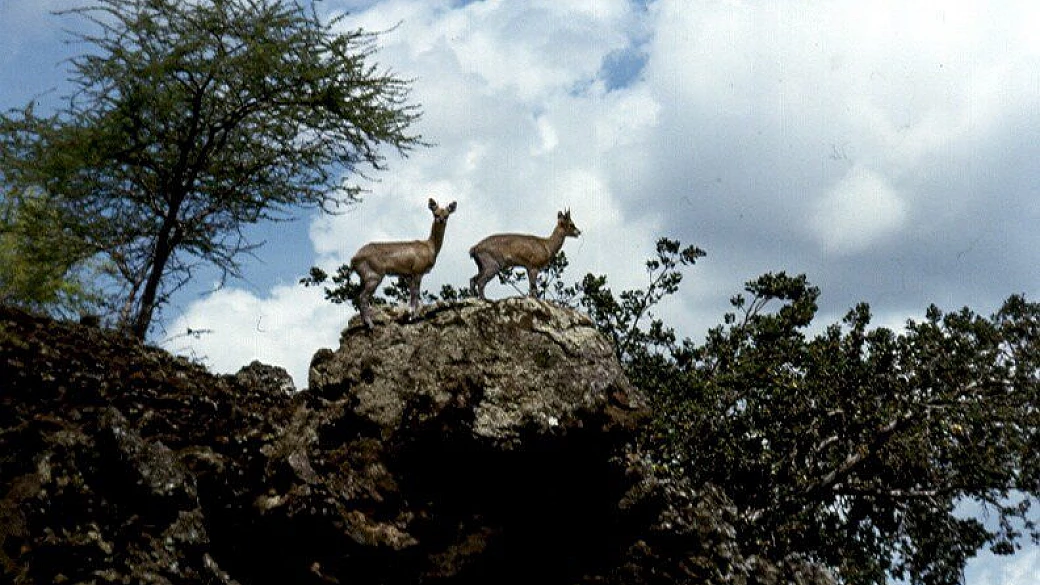 la nostra prima volta in kenya