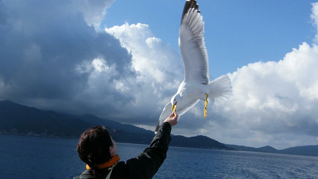 lago di garda: tanta roba