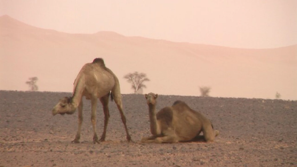 racconto etnico: khaled
