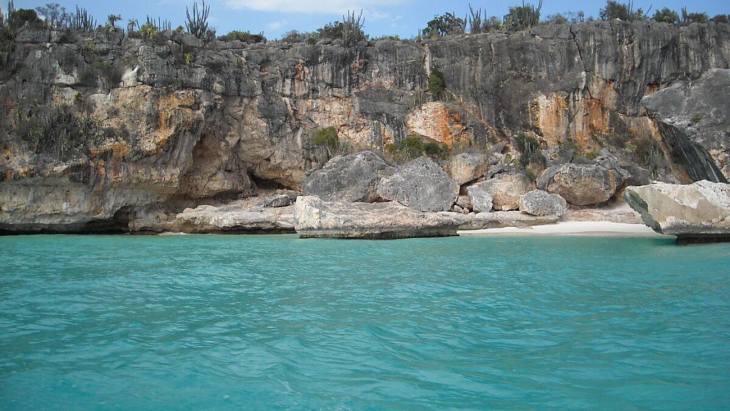 grun dominicus due il continuo