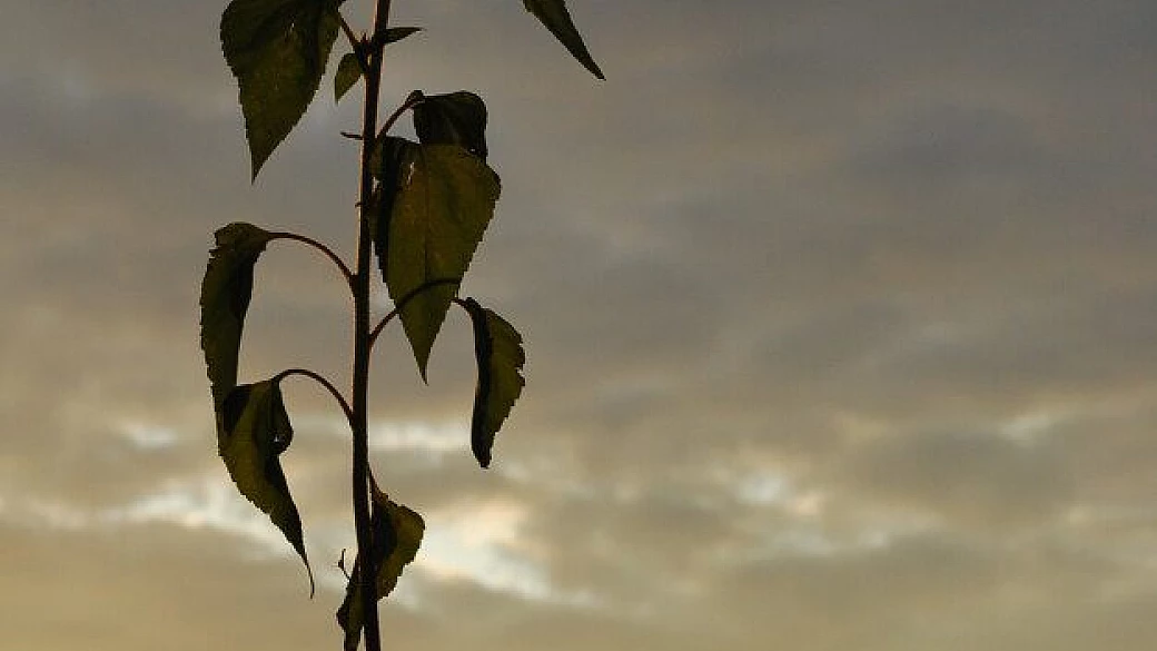 normandia, sulle tracce dello sbarco