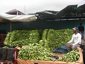 repubblica-dominicana-vhz1z