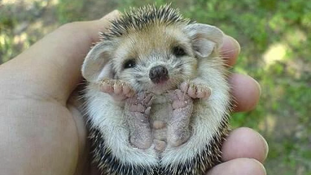 un salento da scoprire!!