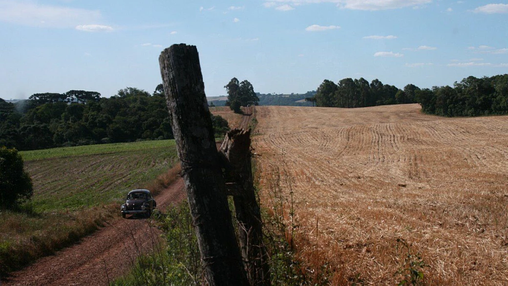 attenzione!!! dengue in brasile