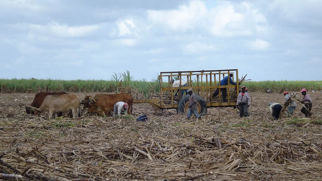 a suon di musica!!!!