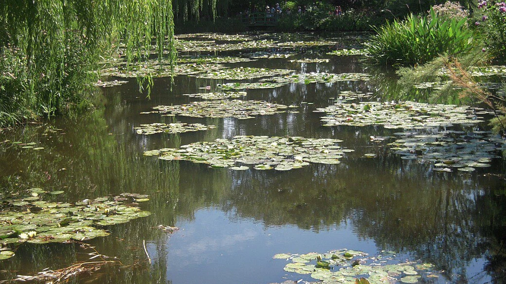 tunnel sotto la manica: da monet a harry potter e jane austen