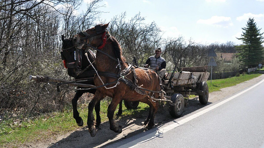transilvania on the road
