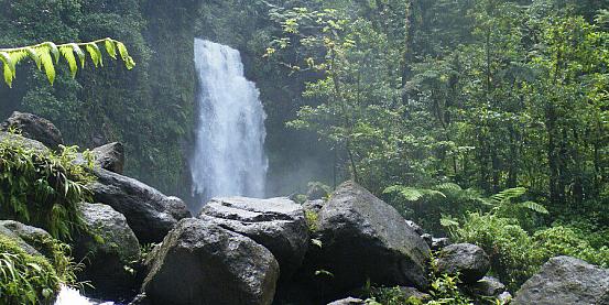 trafalgar falls,dominica