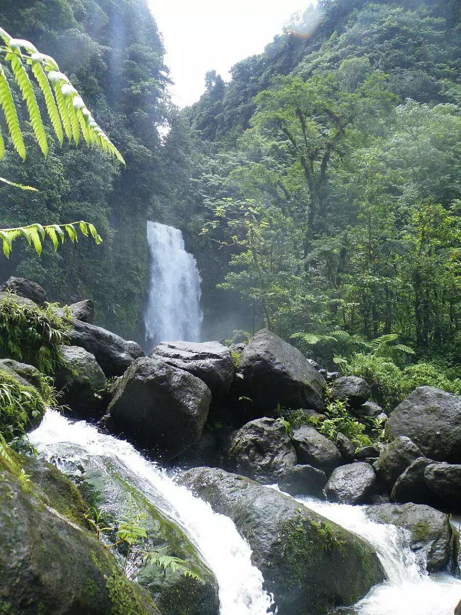 trafalgar falls,dominica