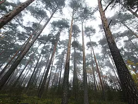 rovaniemi-themepark-7xhx4