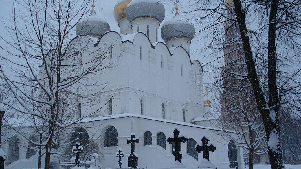 una mosca non turistica