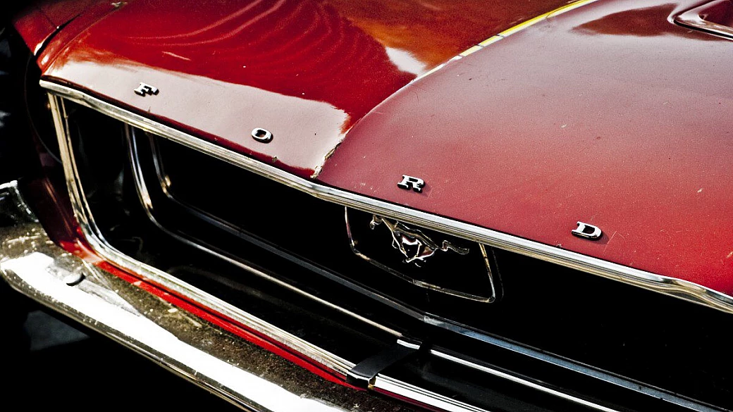 tour del sud della florida