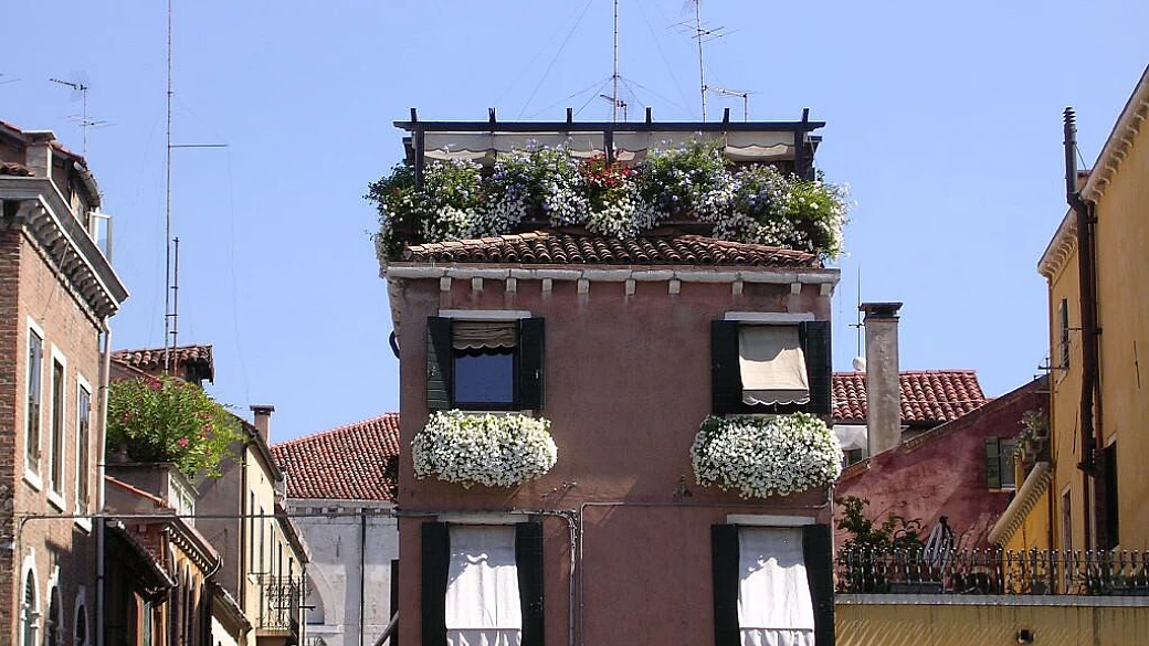 la toscana: bella come un girasole