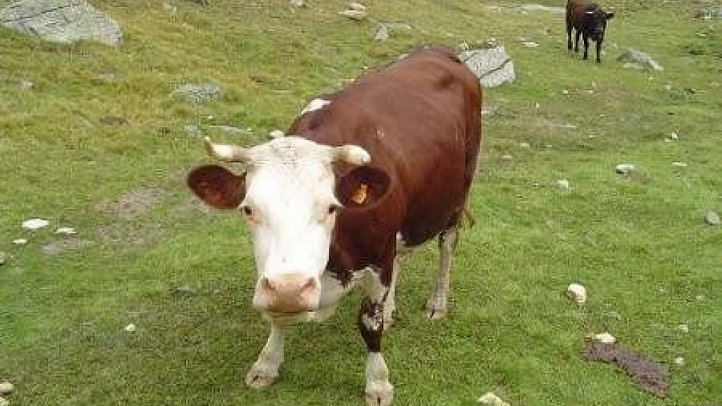 tour della sicilia in moto