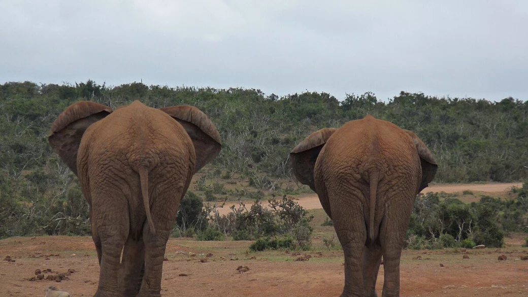 qualche nota sul sudafrica 2