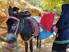 sahara-occidentale-bvw3r