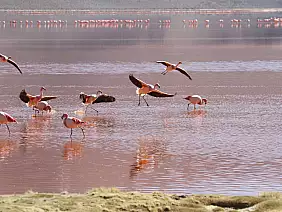 salar-de-uyuni-lago-661m8
