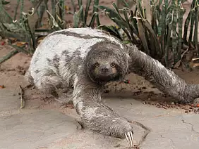 salar-de-uyuni-lago-q9u91