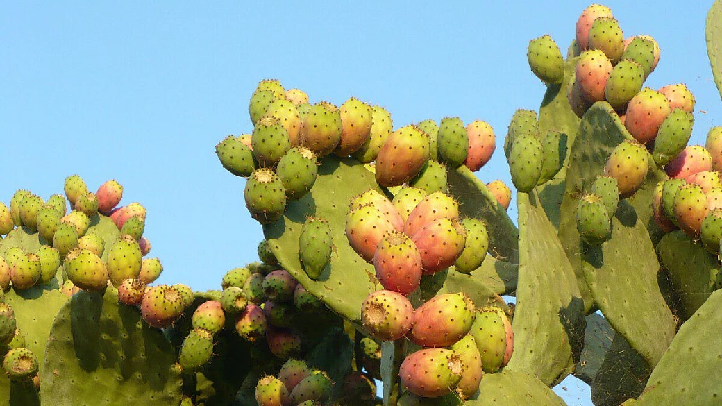 salento, che bella sorpresa!