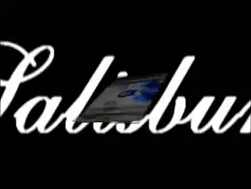 salisbury-188-gal-1