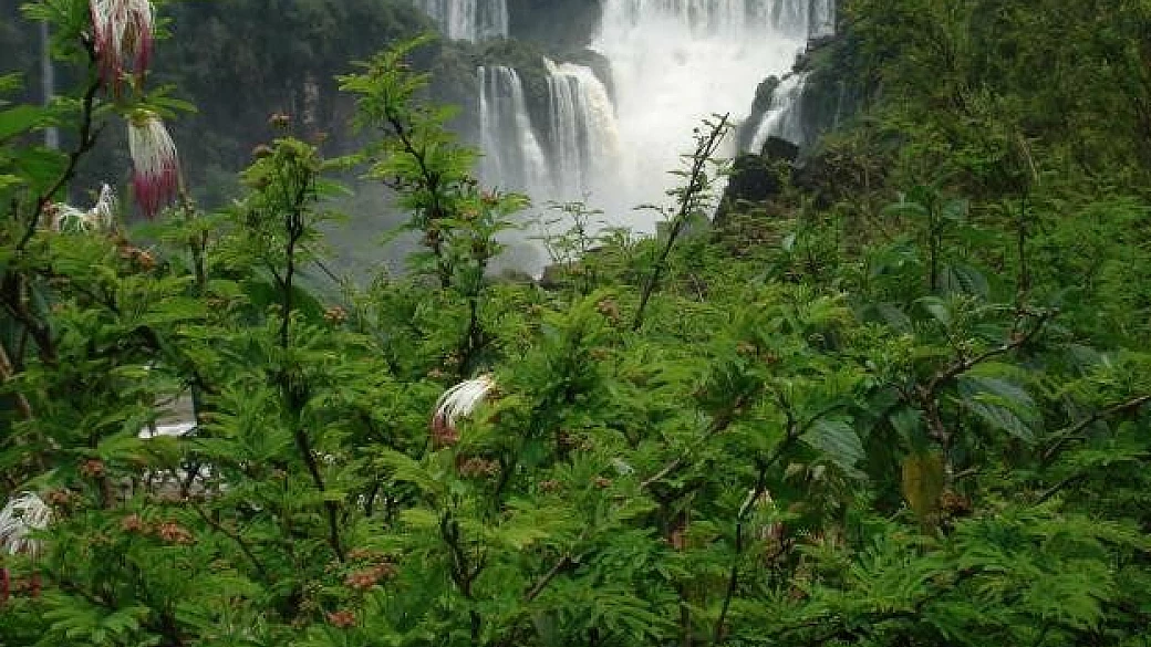 la nostra seconda patria