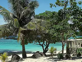 samoa-xdk9t