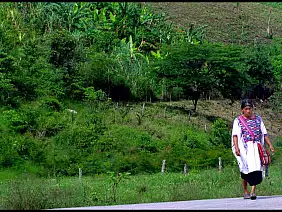 san-cristobal-mercato-streetfood-68916