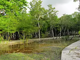 san-cristobal-mercato-streetfood-7whvw