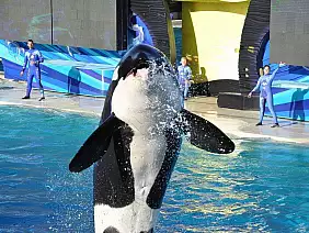 san-francisco-passeggiata-9f2m4