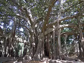 san-vito-capo-san-vito-capo-ristorante-2w696