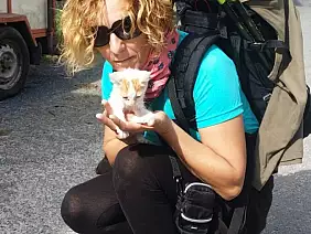 santiago-de-compostela-srbwr