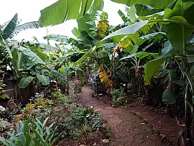 santiago-de-cuba-panorama-xdyt8