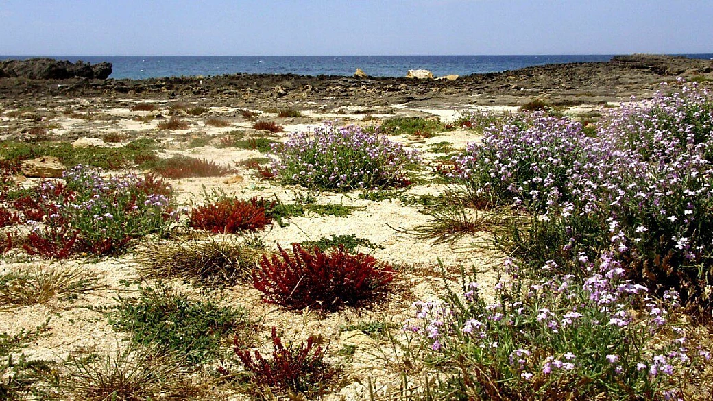 far west in sardegna... il sinis in vespa