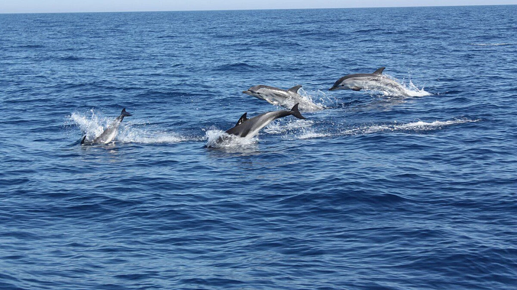 da ostia a la maddalena