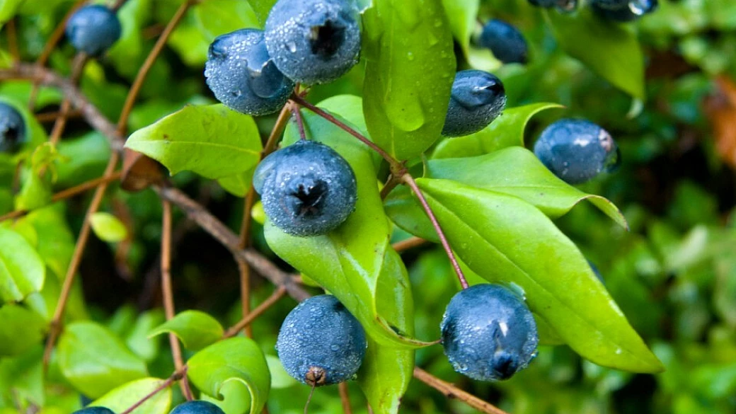sardegna in relax per una famiglia... in veloce crescita!