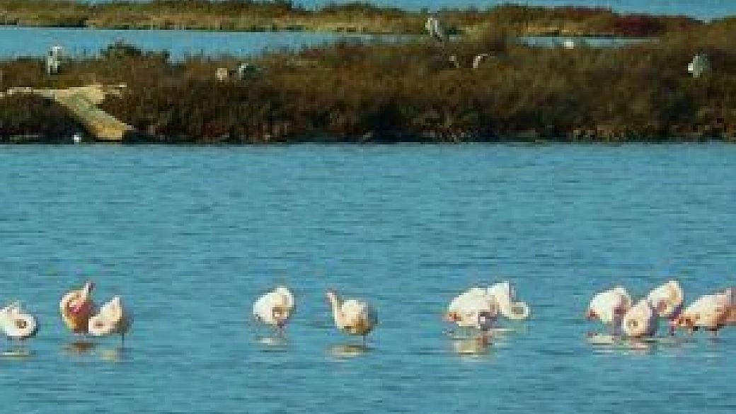 la magia di villasimius