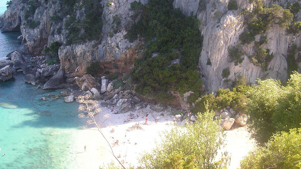 sardegna ovunque tu andrai sarà un successo!