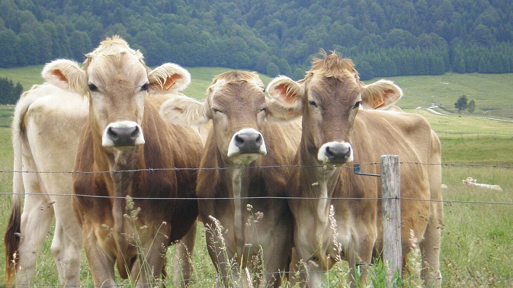 val gardena: paesaggi splendidi, da cartolina!