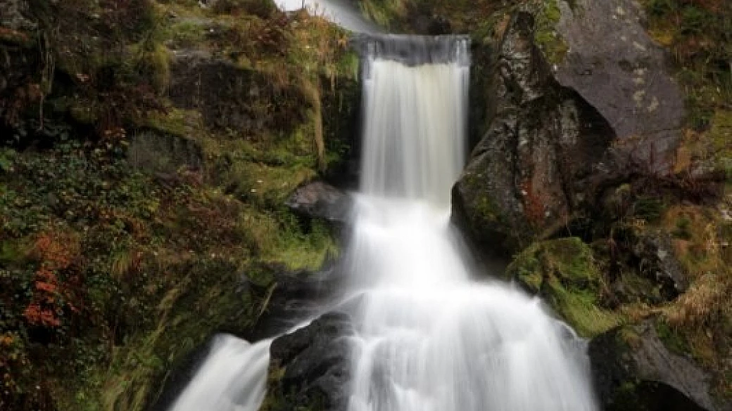 un giorno nella foresta nera